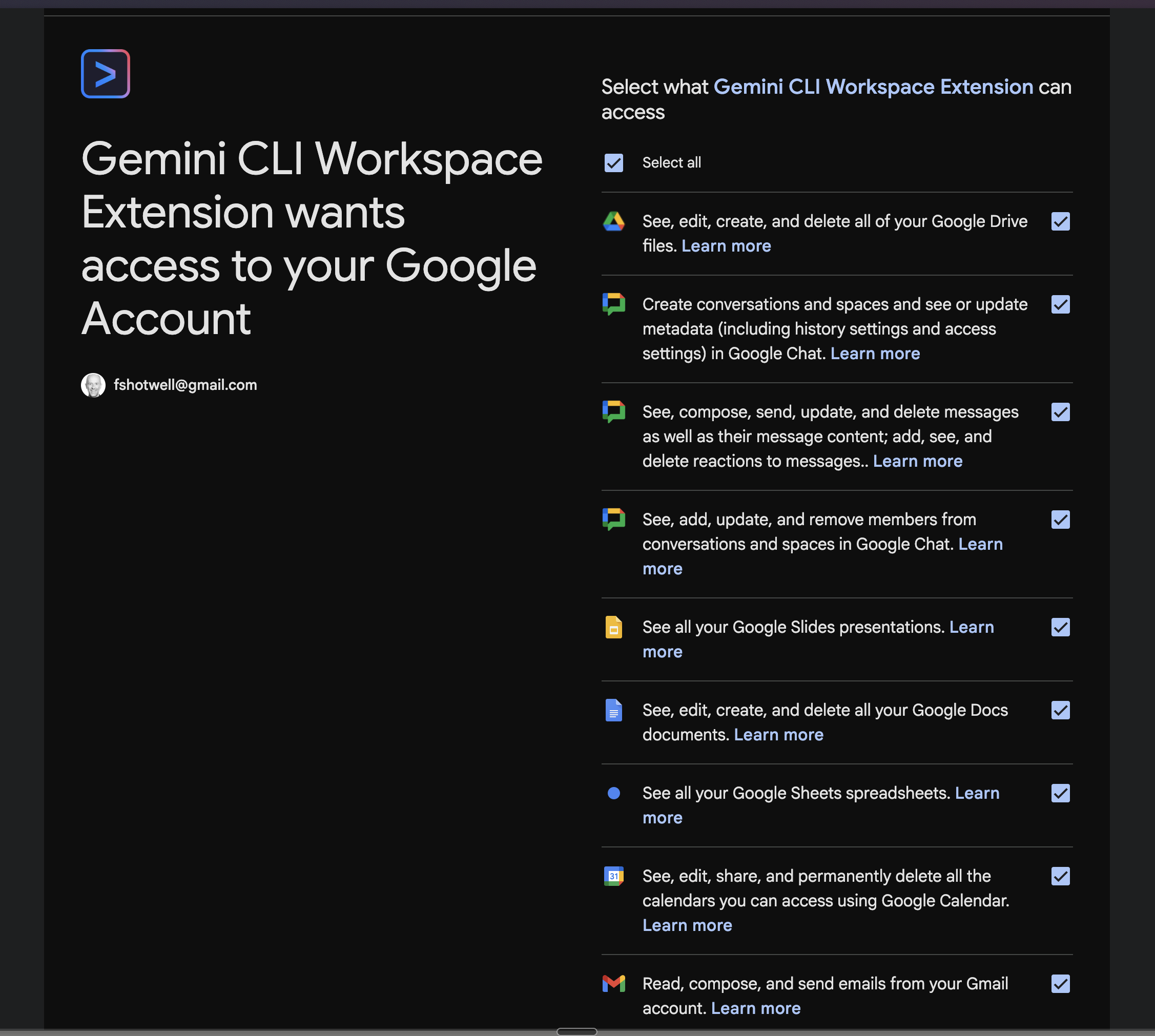 Gemini CLI workspace consent screen